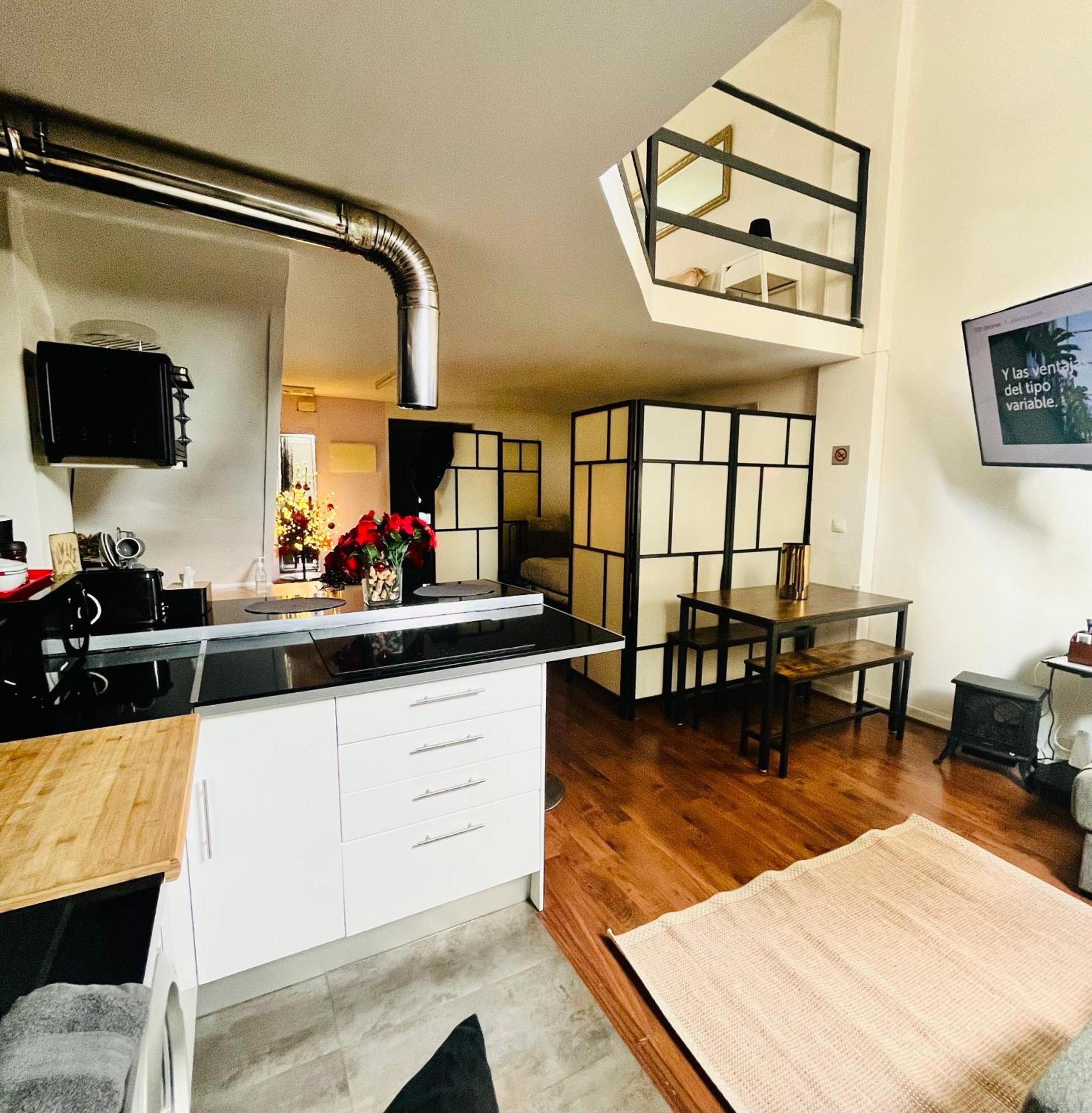Loft Duplex Apartamento Madrid